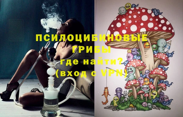 spice Алексин