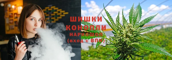 spice Алексин